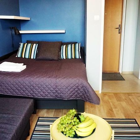Dk Apartament Panorama Lägenhet Olsztyn  Exteriör bild